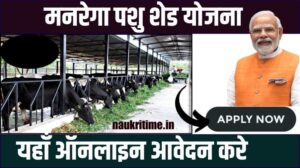 MGNREGA Pashu Shed Scheme 2024 : पशुओ का शेड बनाने के लिए मिलेगा 1 लाख 80,000 अनुदान, ऐसे करे अप्लाई 1 MGNREGA Pashu Shed Scheme