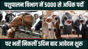 Pashupalan Vibhag Bharti 2024: पशुपालन विभाग में 5000 से अधिक पदों पर भर्ती निकली 5 दिन बाद आवेदन शुरू Full Information 1 Pashupalan Vibhag Bharti 2024