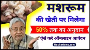 Bihar Mushroom Farming Subsidy Yojana 2024: बिहार सरकार दे रही है मशरुम की खेती के लिए 89,750 रुपयो की सब्सिडी, जाने क्या है पूरी स्कीम और आवेदन प्रक्रिया?- Very Useful 1 Bihar Mushroom Farming Subsidy Yojana 2024